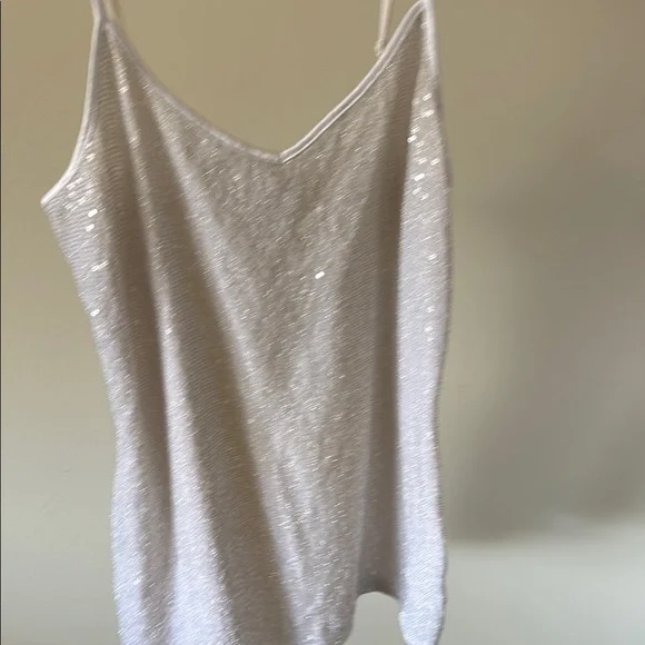 Express Silver Sequin Camisole Top - Picture 2 of 3